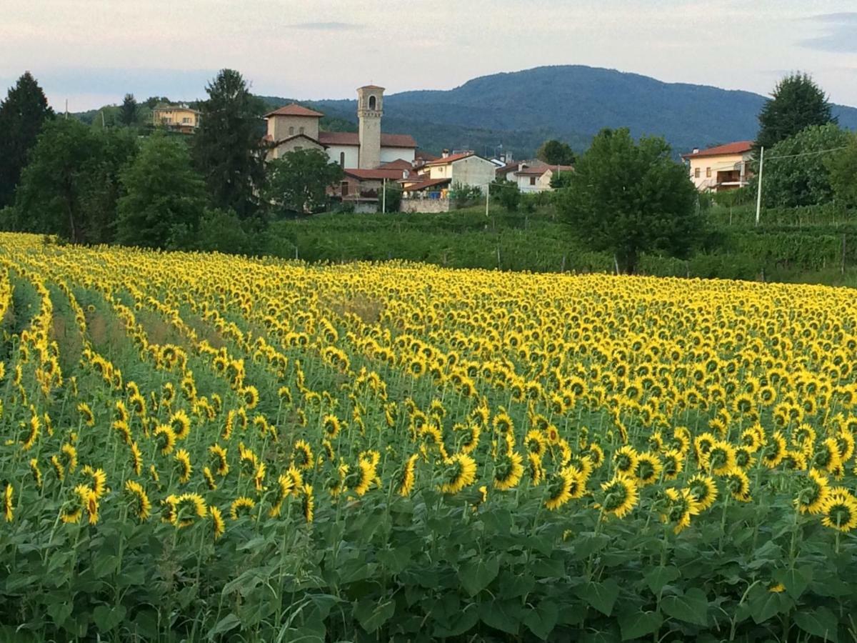 Bed and Breakfast Tinello San Urbano Prepotto  Esterno foto